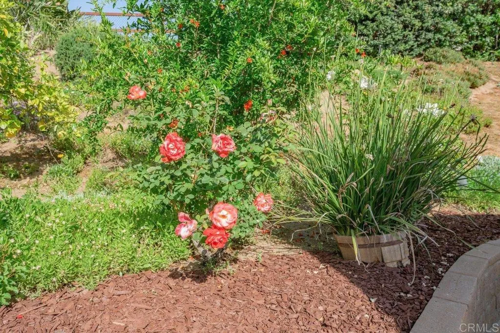 Additional image 77 of 17205 Montero Rd, Rancho Bernardo (San Diego), CA 92128