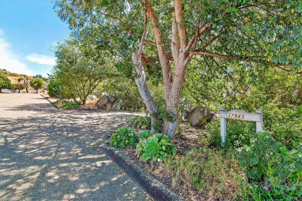Additional image 75 of 37985 Avenida Bravura, Temecula, CA 92592