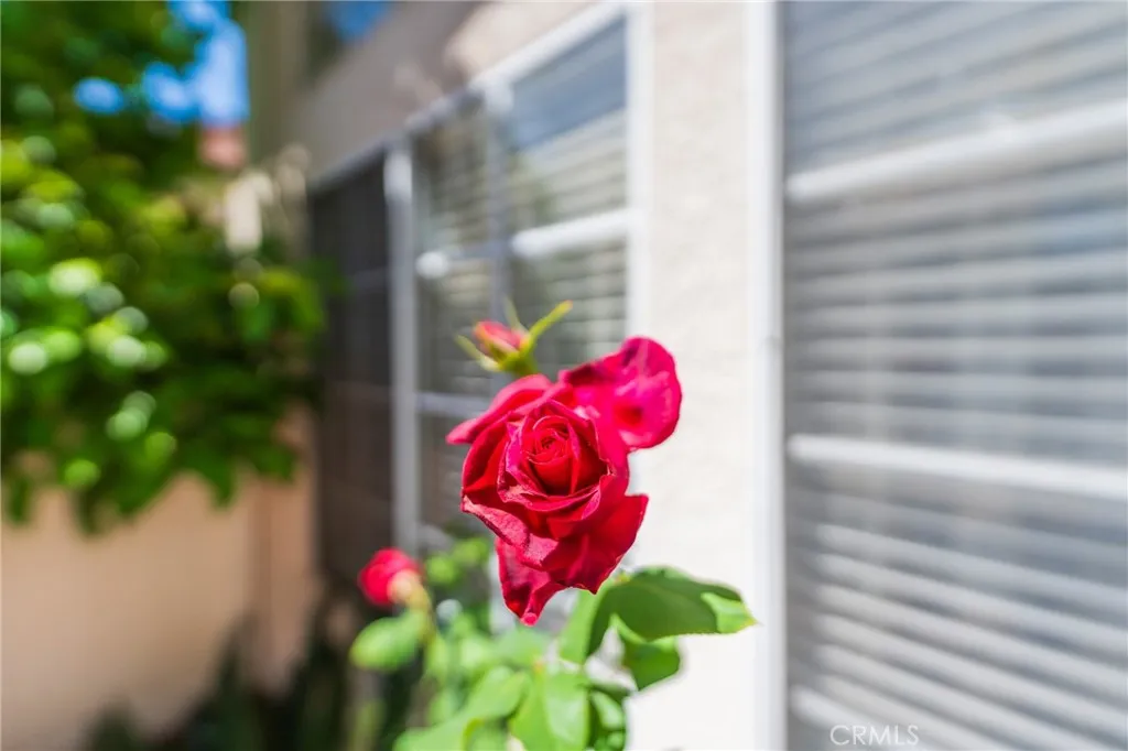 Additional image 32 of 38 Carnation, Rancho Santa Margarita, CA 92688