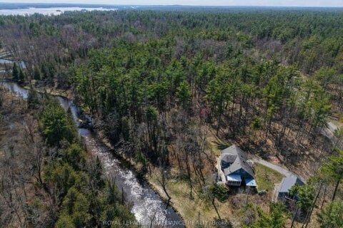 Additional image 9 of 2406 Northeys Bay Road, North Kawartha, ON, K0L 2H0