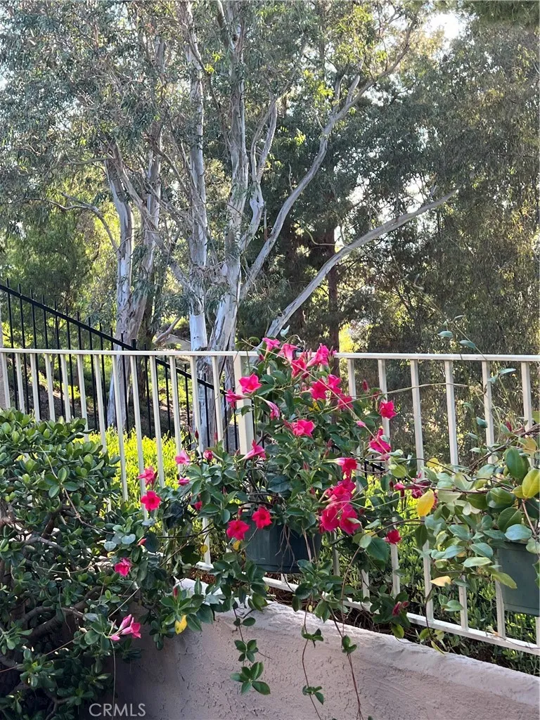 Additional image 85 of 24291 Toponas Court, Laguna Niguel, CA 92677