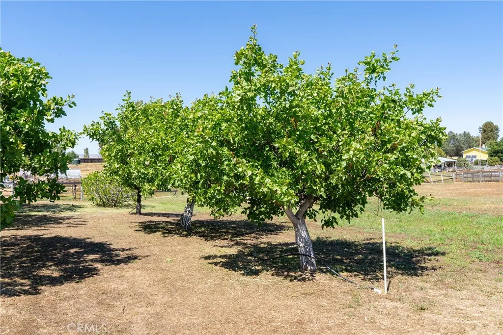 Additional image 94 of 4070 Jardine Rd, Paso Robles, CA 93446