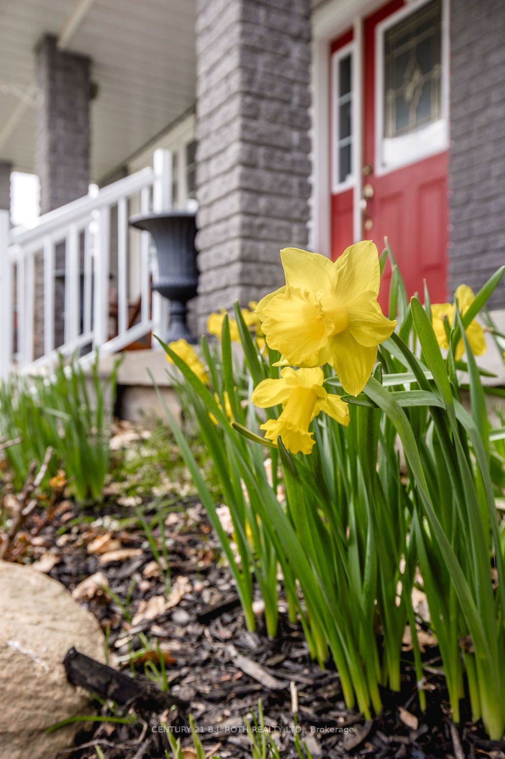Additional image 4 of 12 Graham Street, Springwater, ON, L0L 1P0