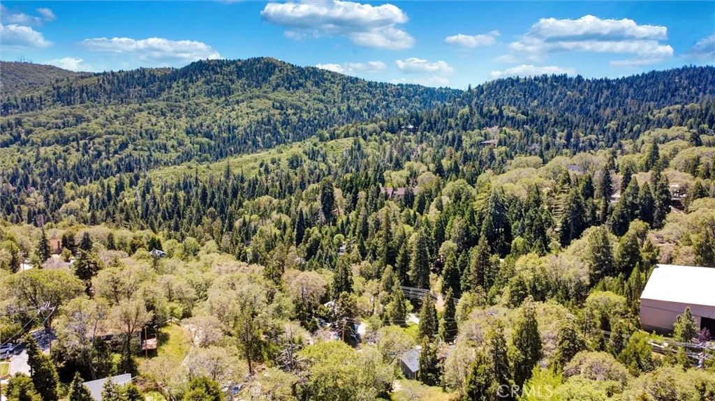 Additional image 40 of 29219 Lyon Drive, Cedar Glen, CA 92321