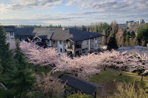Additional image 7 of 201-3082 Dayanee Springs Boulevard, Coquitlam, BC, V3E 0A3