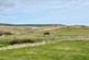 Additional image 13 of Reay, Thurso, Highland. KW14 7RE