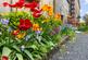 Additional image 22 of 4B, Irvine Place, Stirling, Stirlingshire, FK8