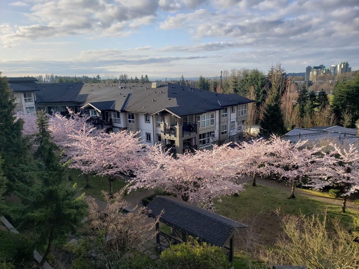 201-3082 Dayanee Springs Boulevard, Coquitlam, BC, V3E 0A3