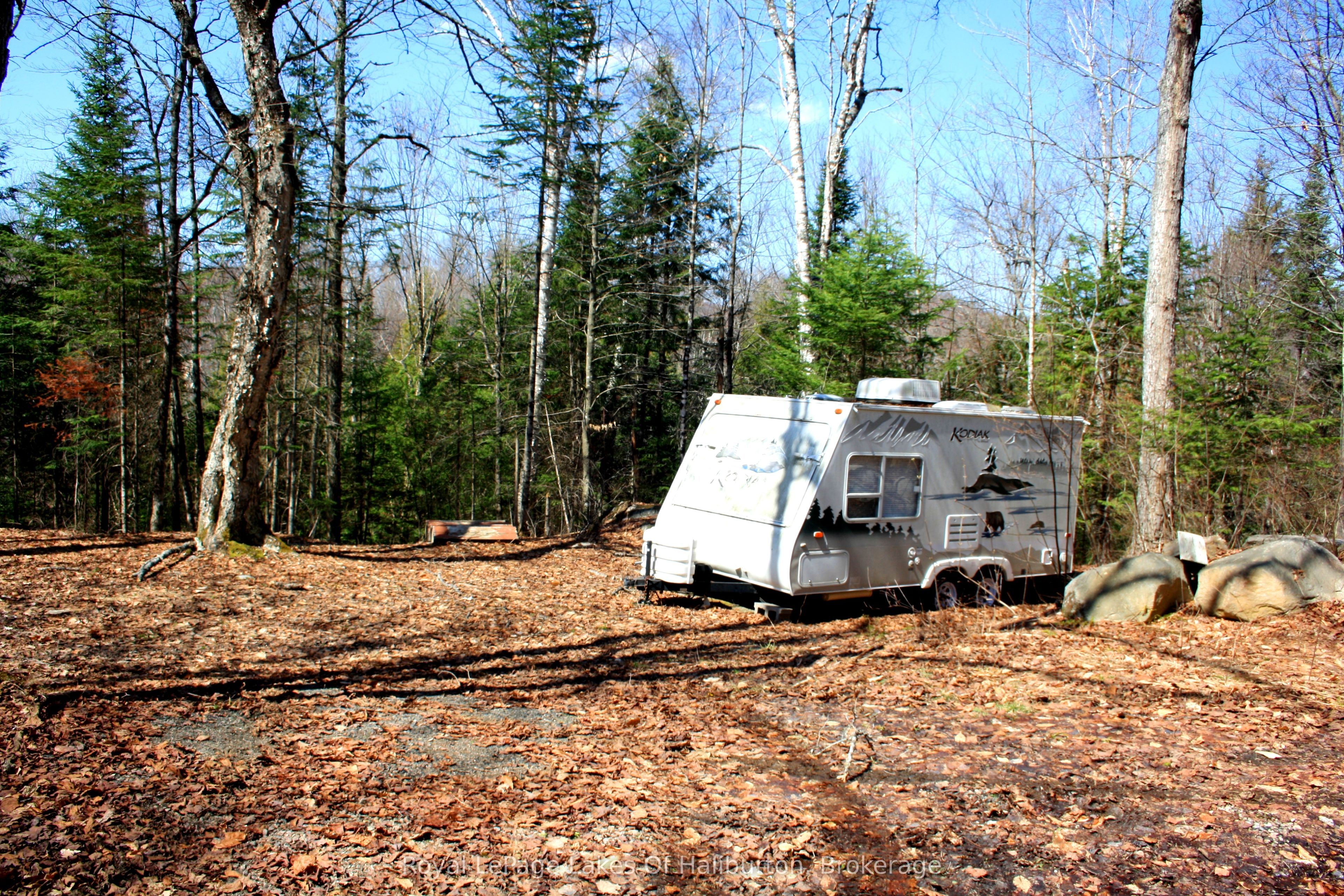 Additional image 5 of 1143 Esson Creek Lane, Highlands East, ON, K0L 2Y0