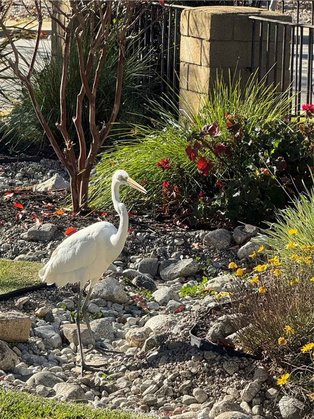 Additional image 54 of 5909 Old Wheeler Rd, La Verne, CA 91750