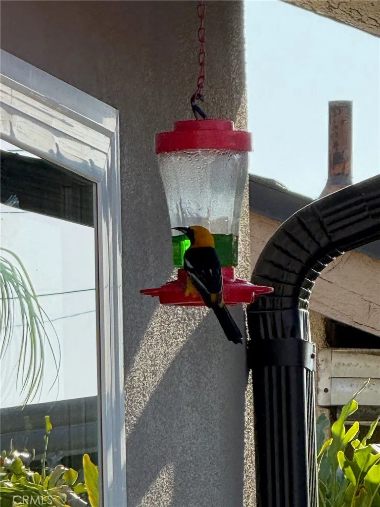 Additional image 112 of 5909 Old Wheeler Rd, La Verne, CA 91750