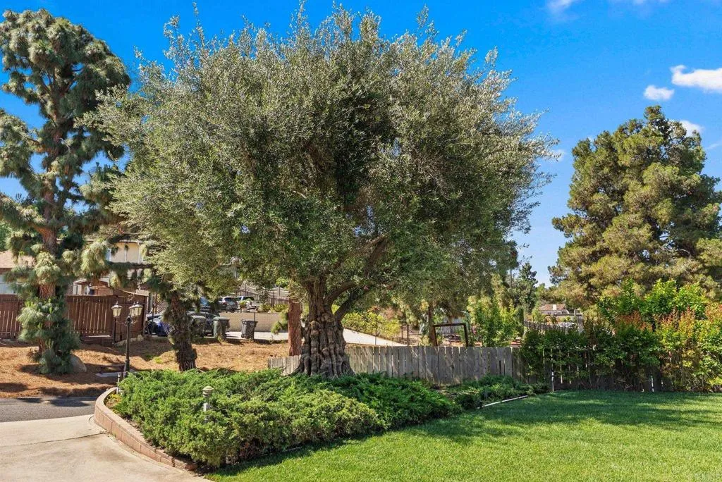 Additional image 57 of 635 Pine Tree Lane, Vista, CA 92081