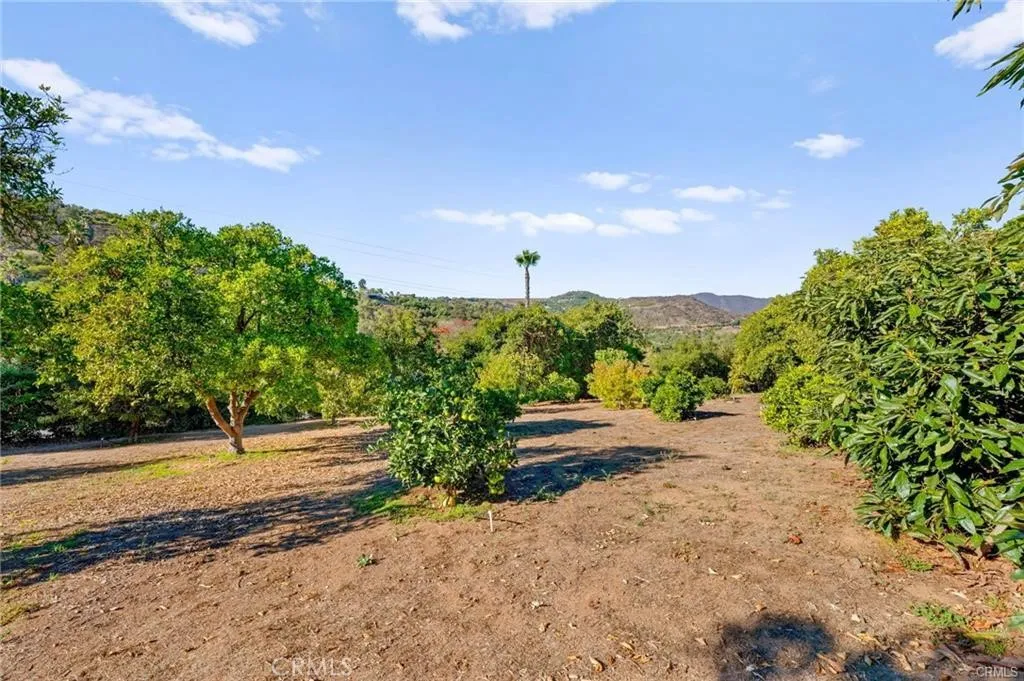 Additional image 148 of 3945 Pala Mesa Dr, Fallbrook, CA 92028