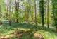Additional image 29 of Beredens Lane, Brentwood CM13