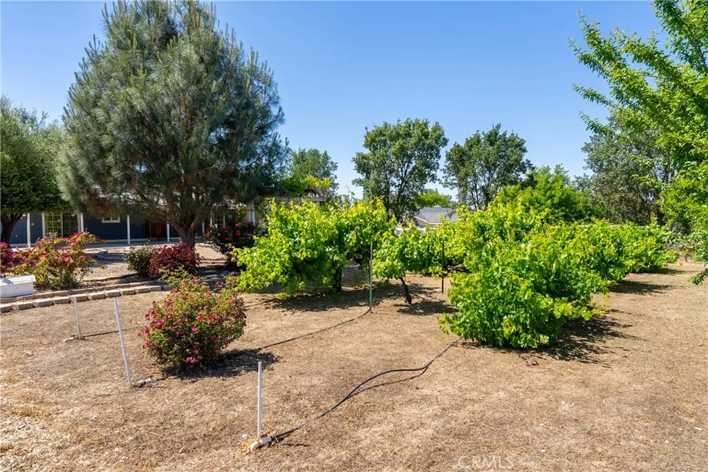 Additional image 36 of 4070 Jardine Rd, Paso Robles, CA 93446
