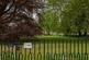 Additional image 15 of St James's Square, Bath, BA1