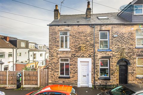Barber Place, Crookesmoor, Sheffield S10