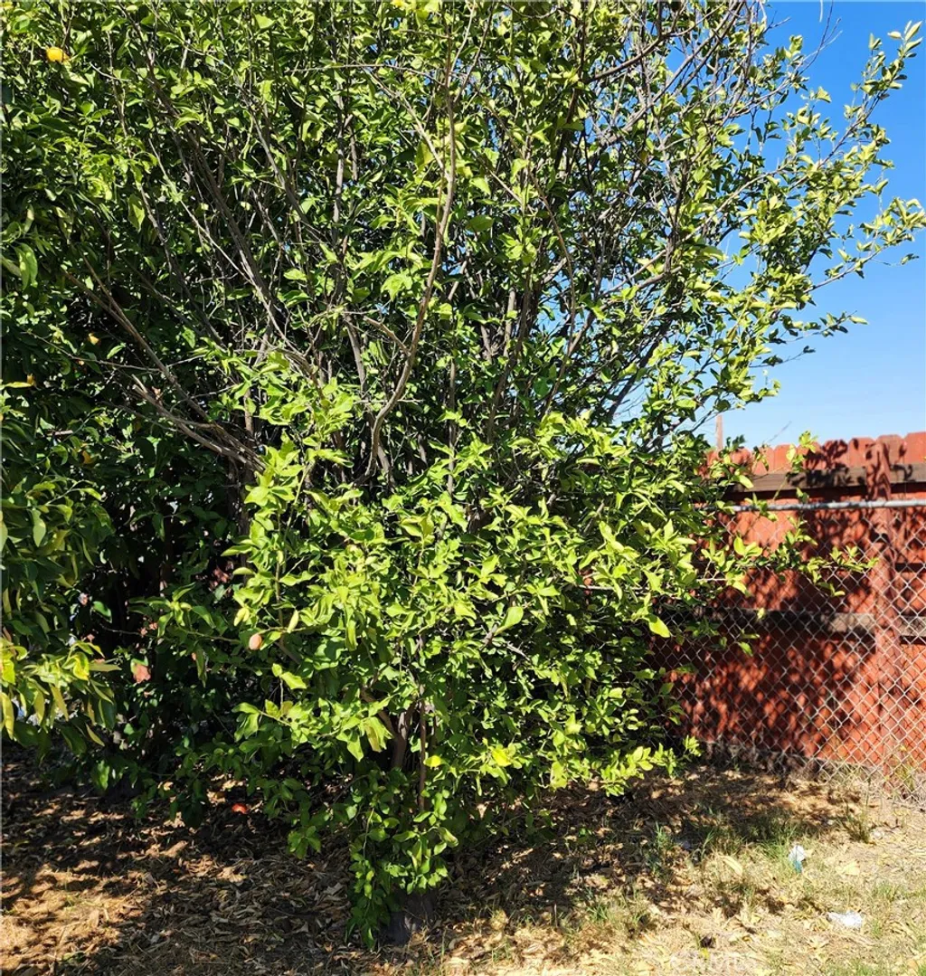 Additional image 28 of 390 N 4th Street, Colton, CA 92324