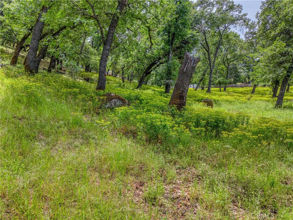 Additional image 59 of 5290 Lake Boulevard, Lower Lake, CA 95457