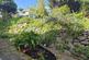 Additional image 17 of Woodland Avenue, Tywardreath, Par