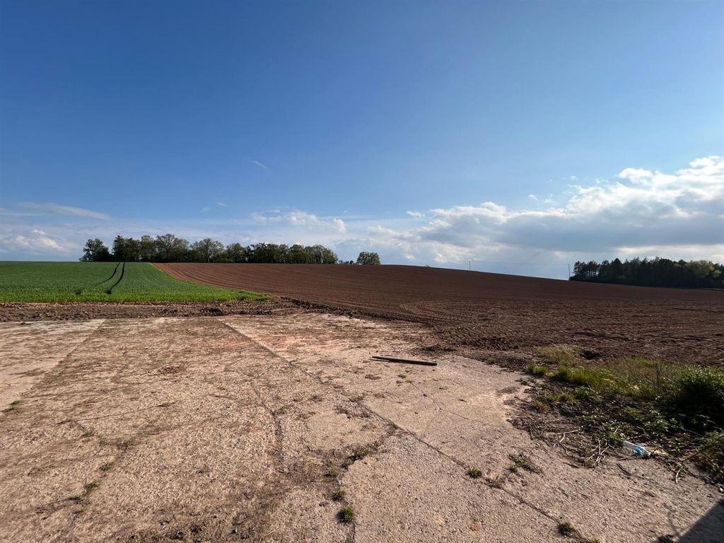 Additional image 4 of Farm for saleLand At Withington, Near Preston Wynne, Hereford HR1