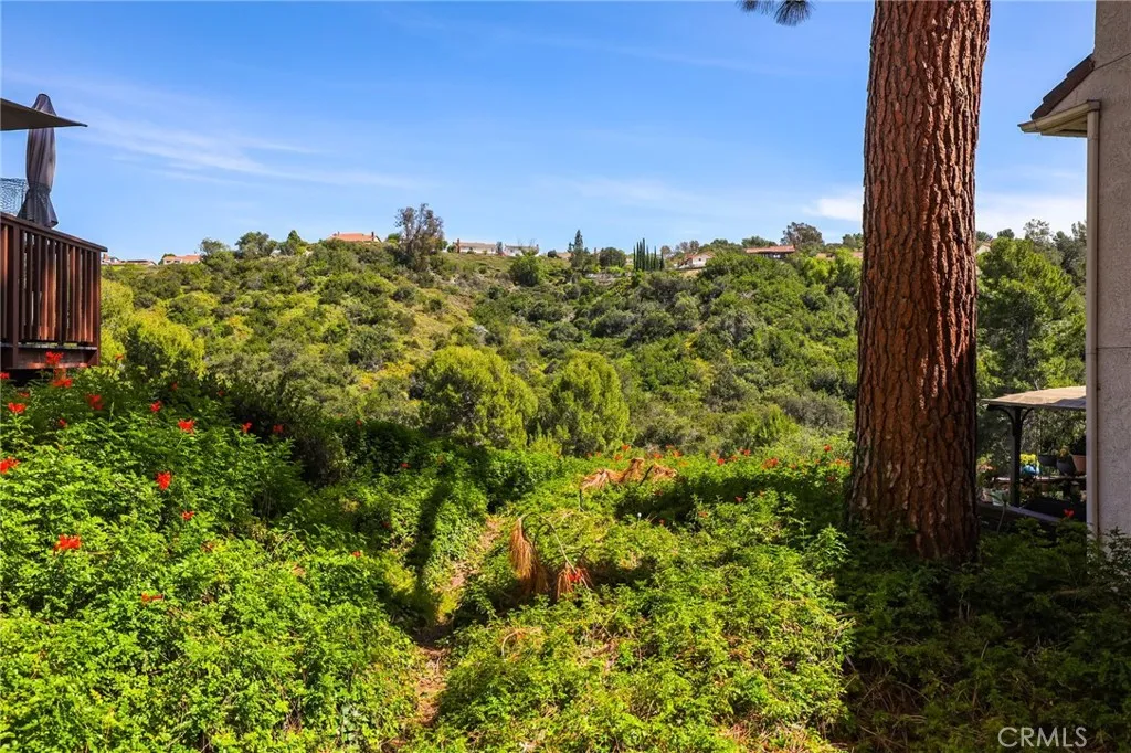 Additional image 101 of 22010 Mirador, Mission Viejo, CA 92691
