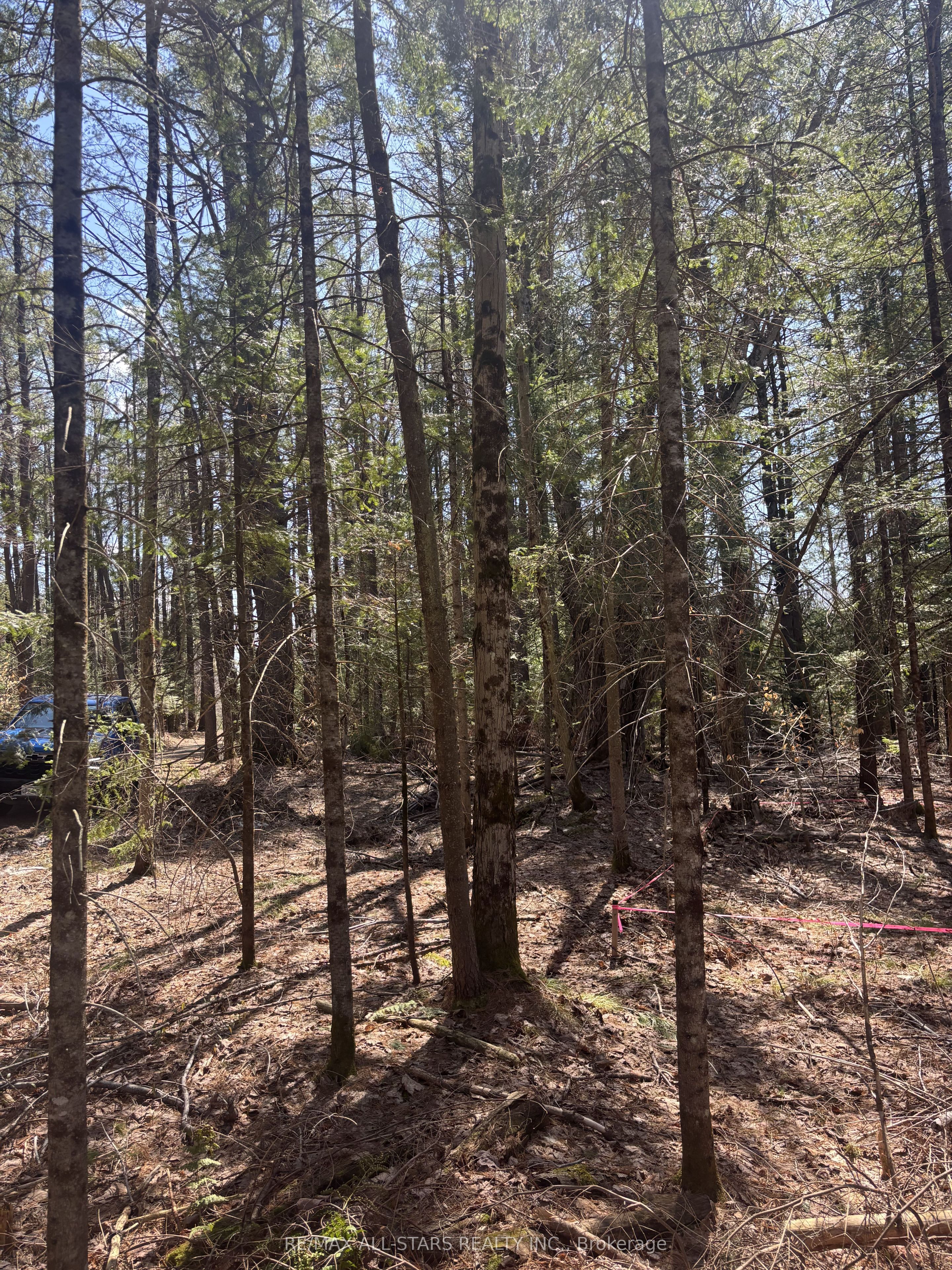 Additional image 3 of 0 Kirkpatrick Lane, Bracebridge, ON, P1L 1X3