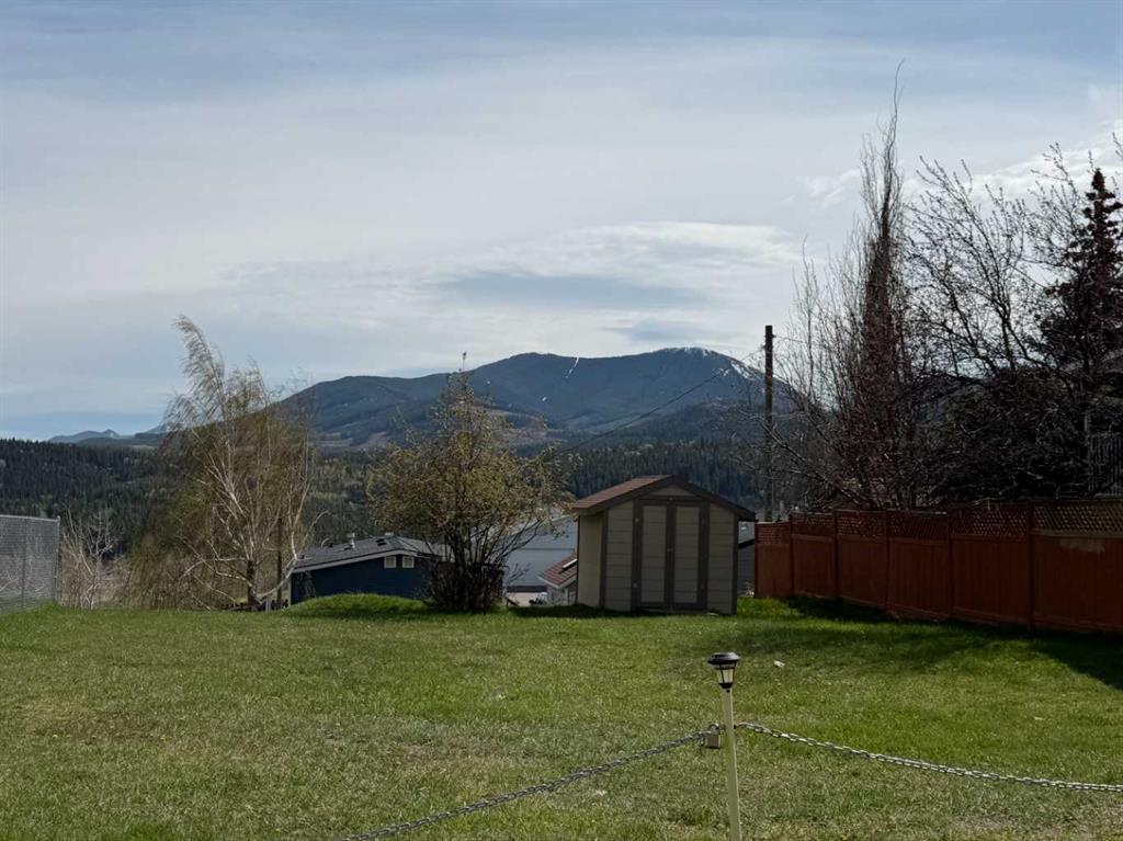 Additional image 4 of 8642 22 Avenue, Coleman, AB, T0K 0M0