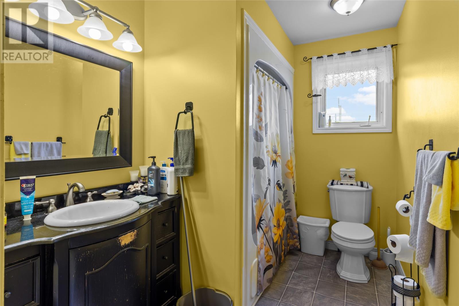 19 Burdell Place, St. John's, NL, A1E6A4 photo 4