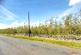 Additional image 22 of Pennine Road, Halton-Lea-Gate CA8