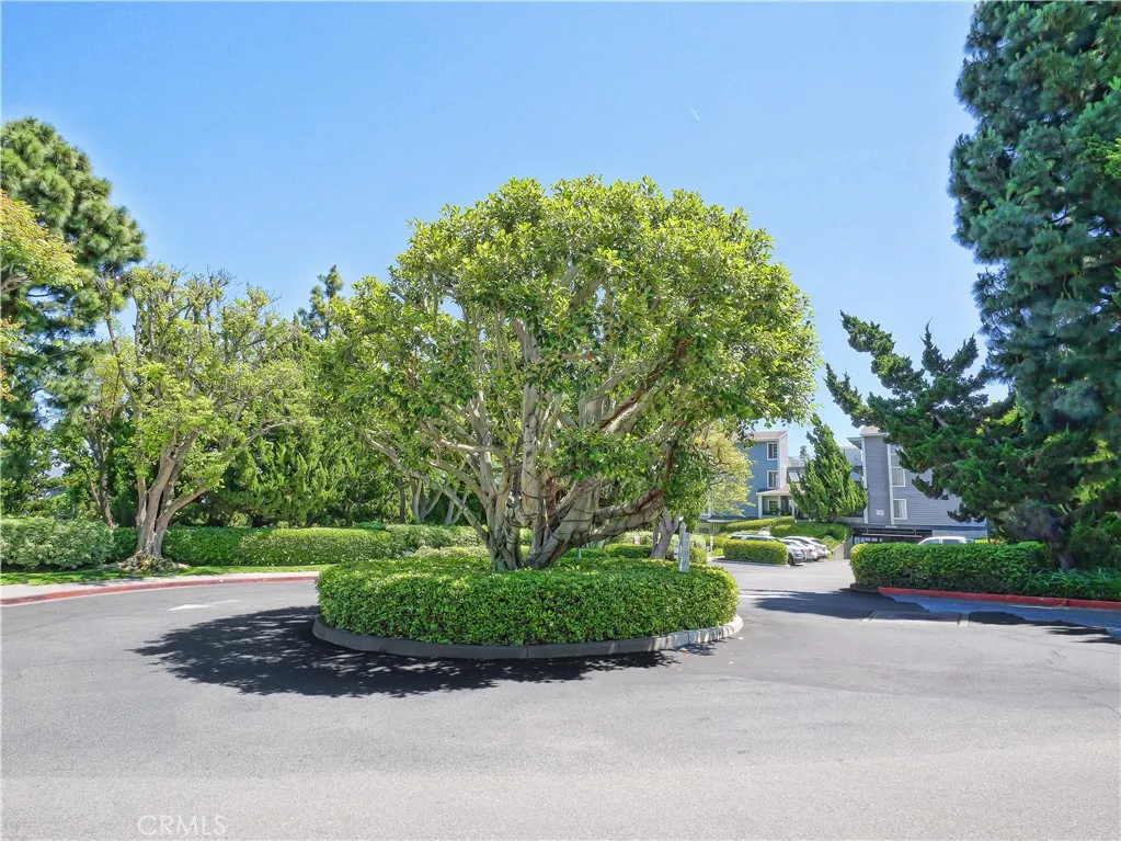 Additional image 83 of 1418 Brett Place #206, San Pedro, CA 90732