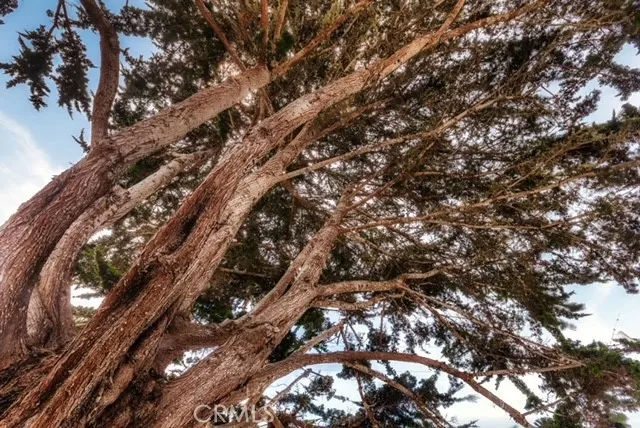 Additional image 38 of 540 Kern Avenue, Morro Bay, CA 93442