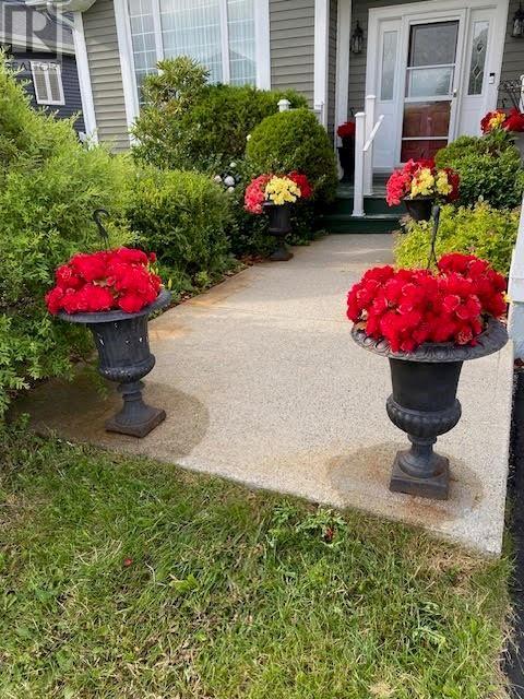 39 Cheyne Drive, St. John's, NL, A1A5J6 photo 3