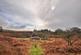 Additional image 4 of Newton Stewart, DG8