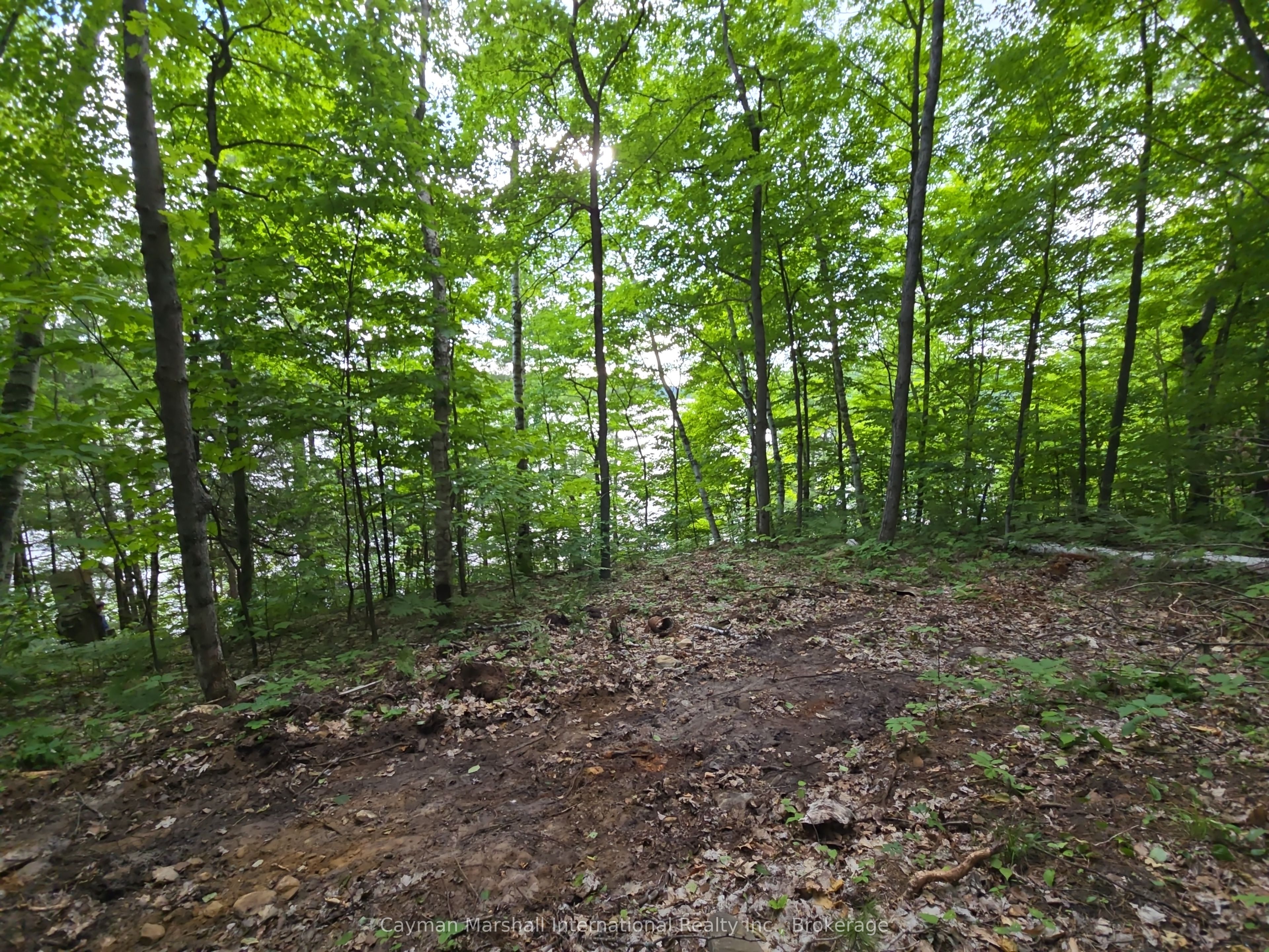 Additional image 6 of 890 Big Island N/a, Huntsville, ON, P1H 2J2