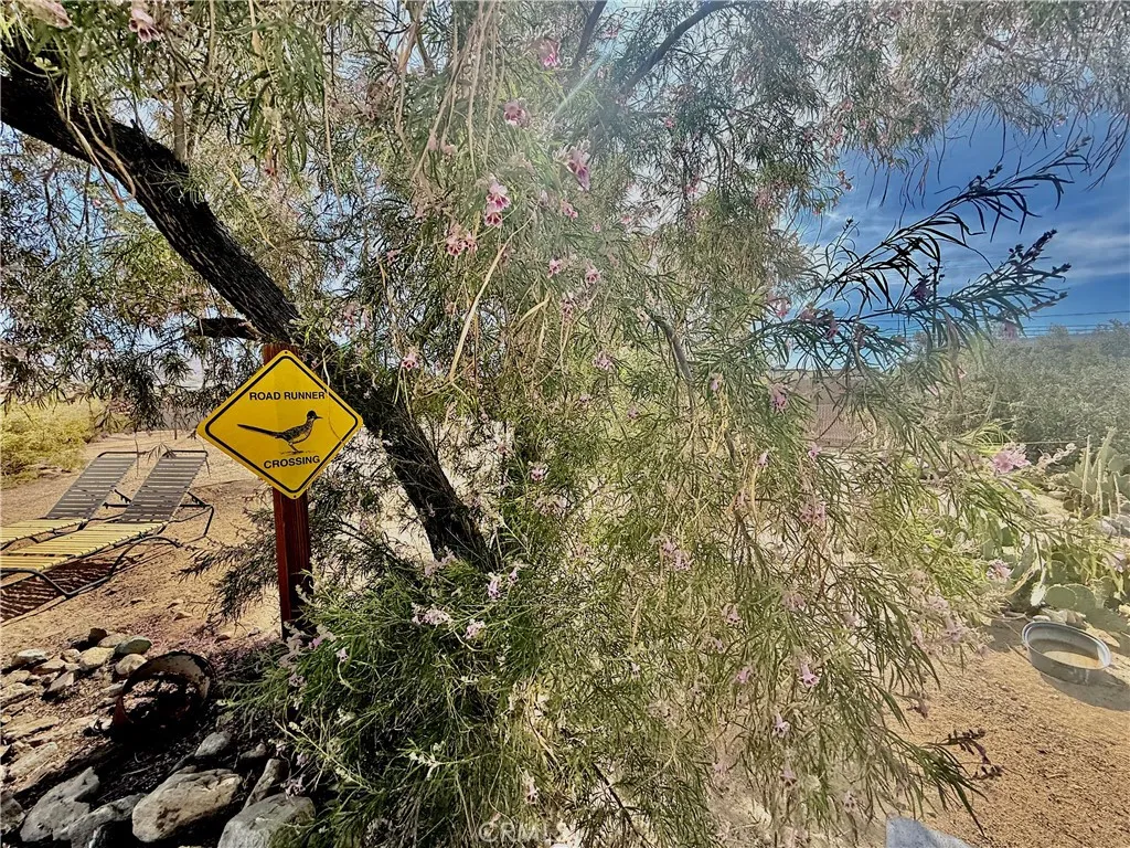 Additional image 48 of 73755 Siesta Drive, 29 Palms, CA 92277