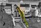 Additional image 26 of Moor End Road, Stockport, SK6