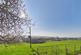 Additional image 6 of Old School House, Weaverthorpe, Malton, YO17 8EX