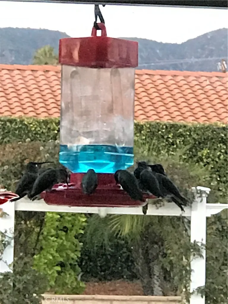 Additional image 111 of 5909 Old Wheeler Rd, La Verne, CA 91750