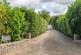 Additional image 34 of Westfield Lane, Draycott Nr Cheddar & Wells
