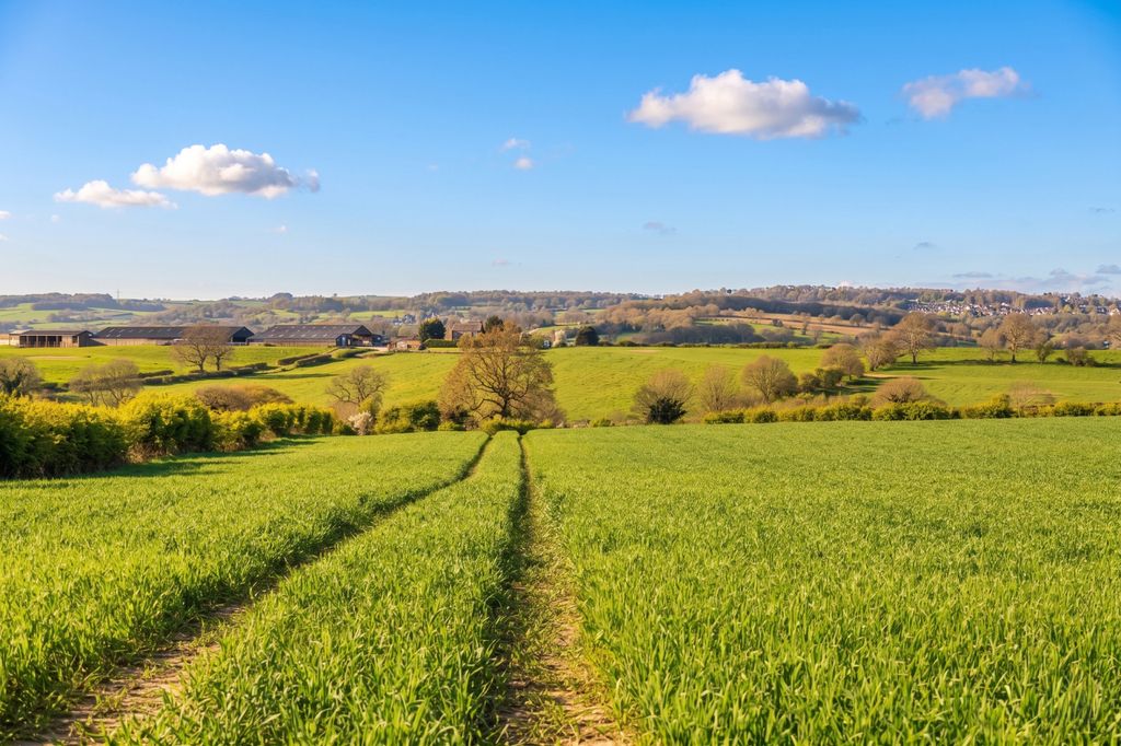 Additional image 28 of Land for saleButterley Park, Ripley, Derbyshire DE5