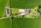 Additional image 23 of Prolly Moor, Bishops Castle SY9