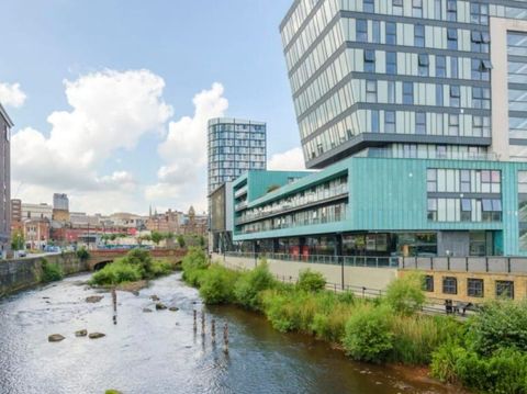 North Bank, Sheffield S3