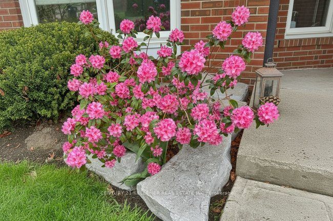 Additional image 3 of 1059 Sierra Boulevard, Mississauga, ON, L4Y 2E3