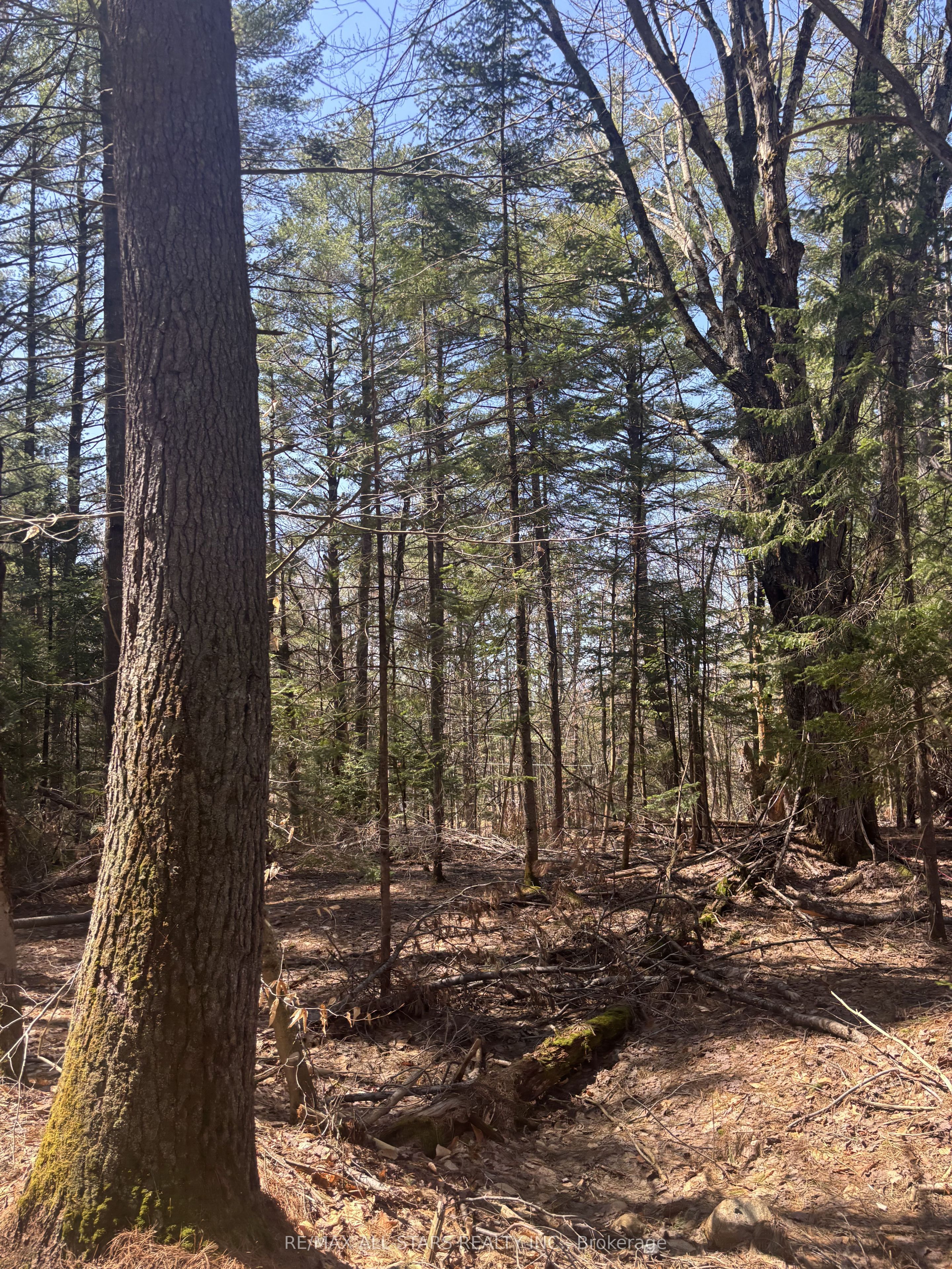 Additional image 6 of 0 Kirkpatrick Lane, Bracebridge, ON, P1L 1X3