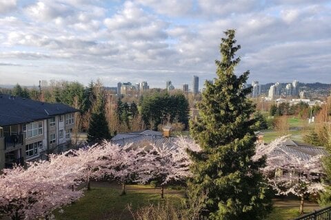Additional image 8 of 201-3082 Dayanee Springs Boulevard, Coquitlam, BC, V3E 0A3