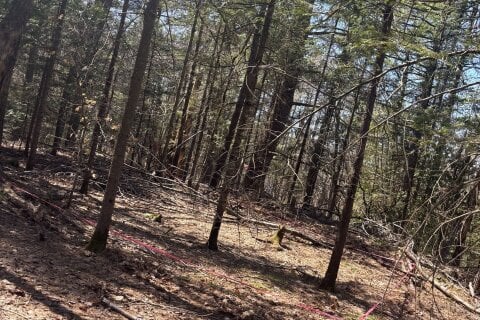 Additional image 7 of 0 Kirkpatrick Lane, Bracebridge, ON, P1L 1X3