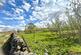 Additional image 21 of Pennine Road, Halton-Lea-Gate CA8