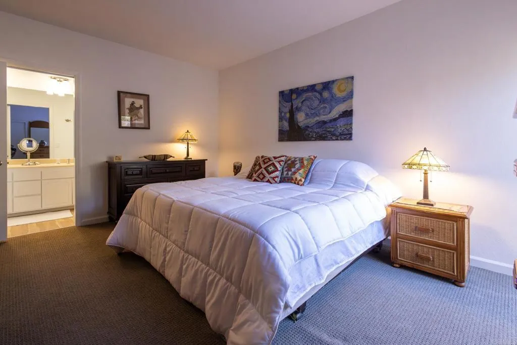 4803 Desert Vista Drive, Borrego Springs, CA 92004