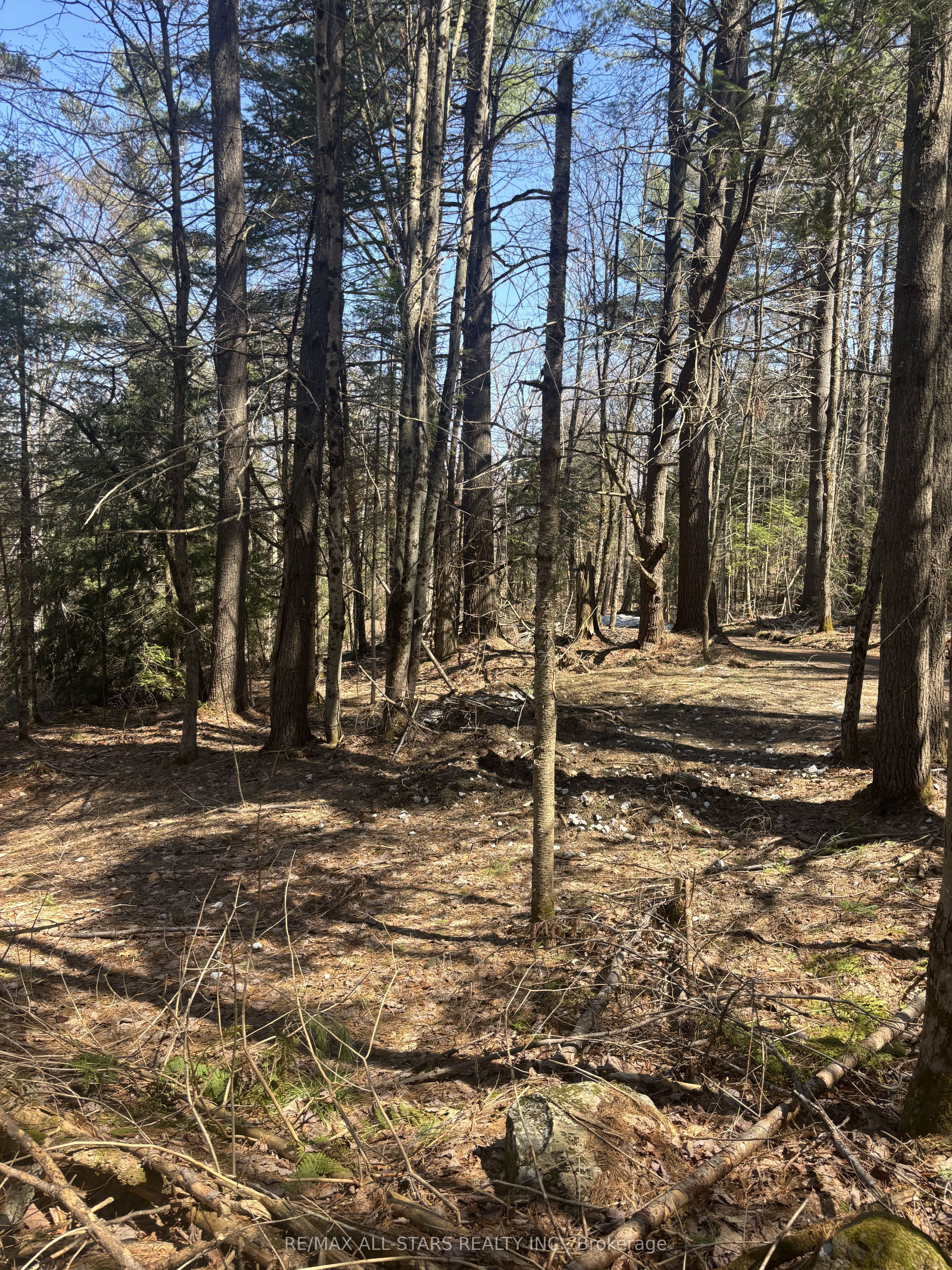 Additional image 2 of 0 Kirkpatrick Lane, Bracebridge, ON, P1L 1X3